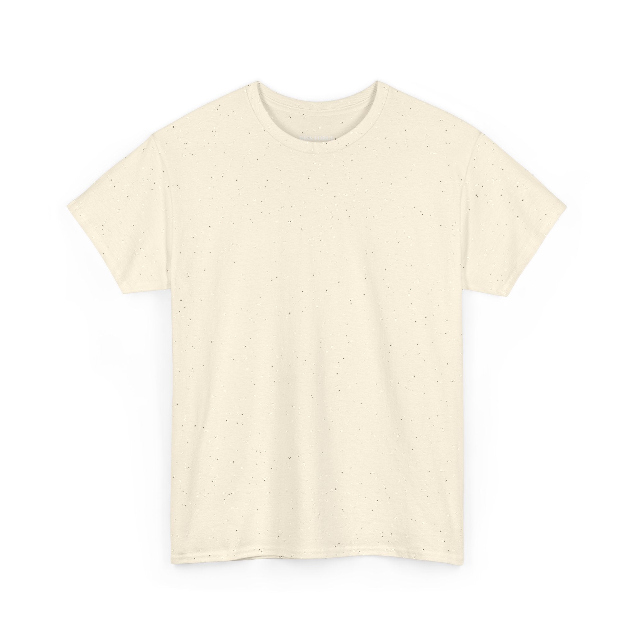 RISE FORGE Unisex Heavy Cotton Tee