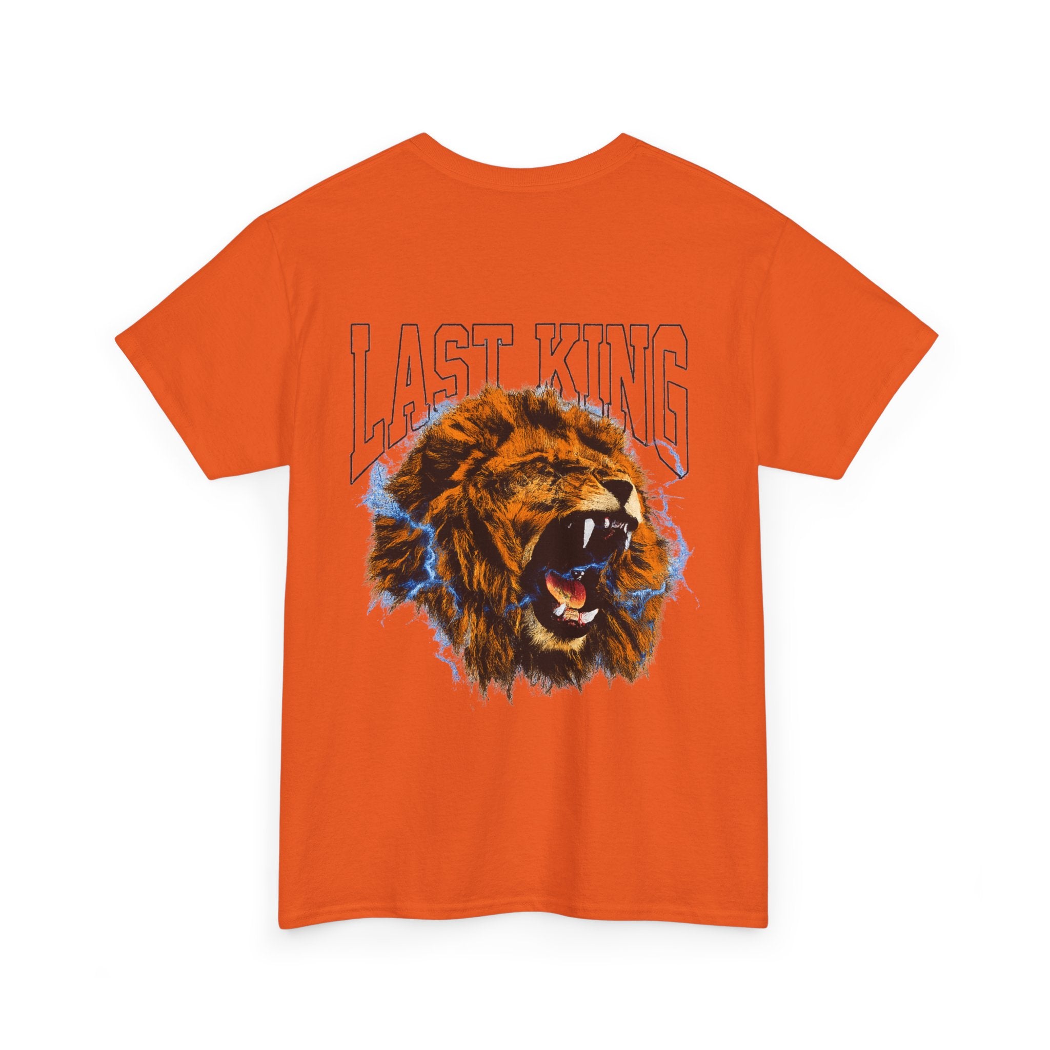 Rise Forge – Last King 
Unisex Heavy Cotton Tee